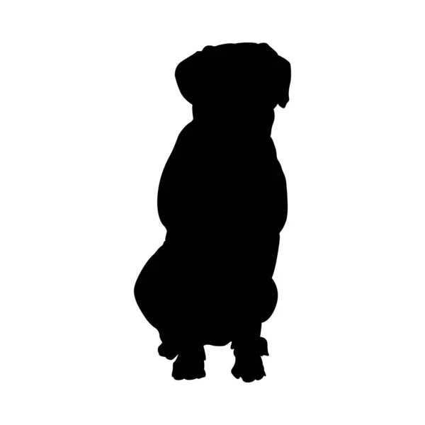 Δαλματίας σκύλος σιλουέτα — Διανυσματικό Αρχείο