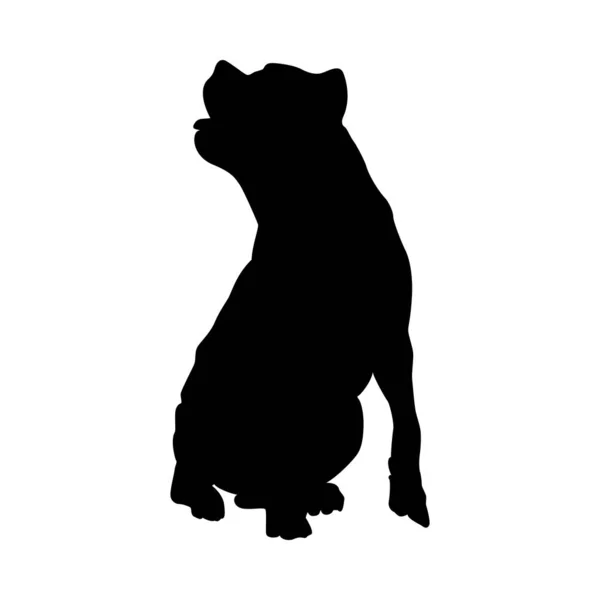 Pit Bull Terrier Köpek Siluet — Stok Vektör