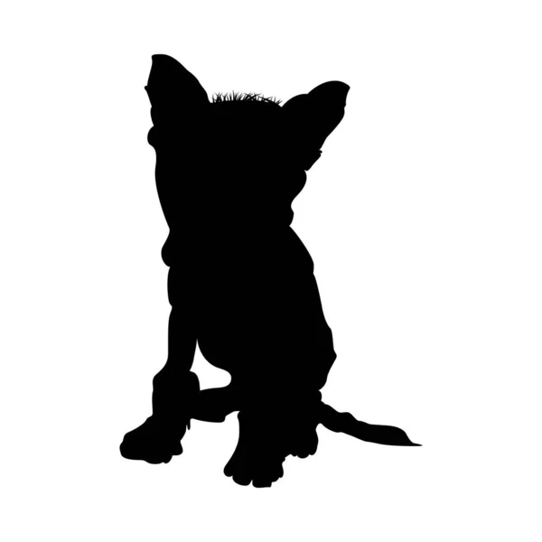Chinese Crested hond silhouet — Stockvector