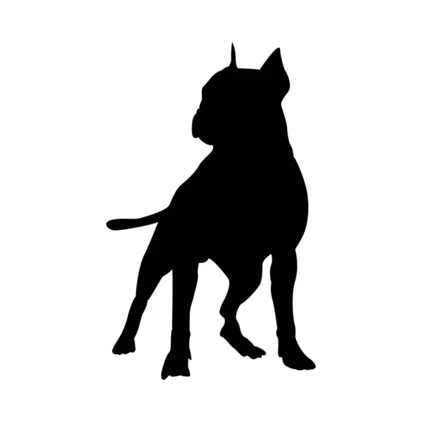 Poço Bull Terrier Dog Silhouette — Vetor de Stock