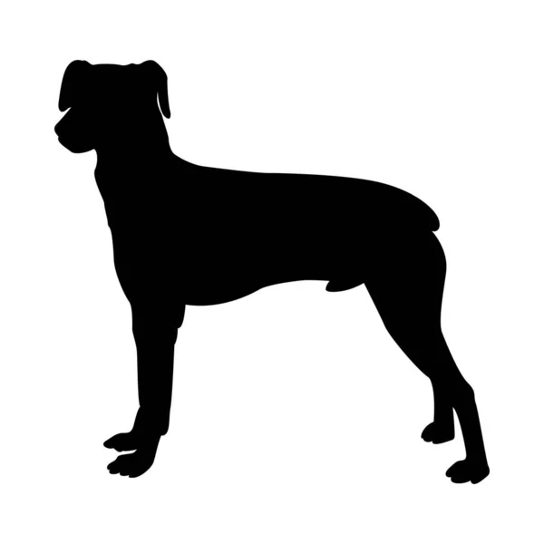 Silhueta do cão do pinscher — Vetor de Stock