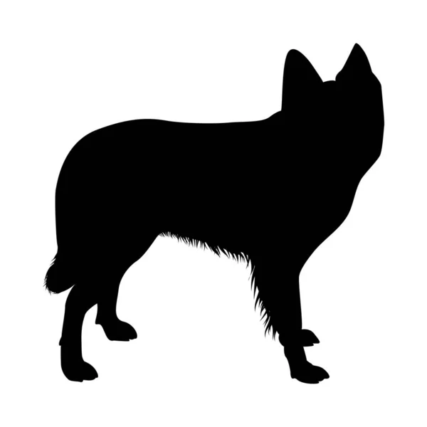 Dutch Sheep Dog Silhouette — Stock Vector