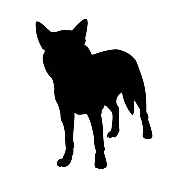 Australian Dog Silhouette — Stock Vector