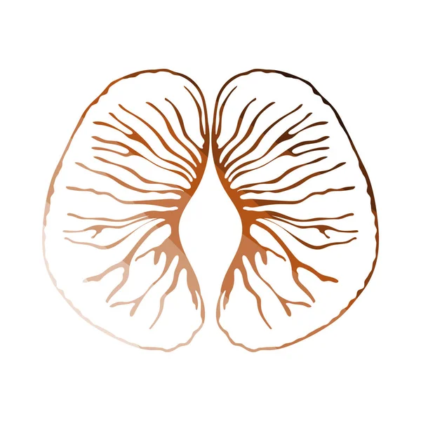 Icône de mandarin — Image vectorielle