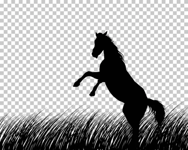 Paard silhouet op gras achtergrond — Stockvector