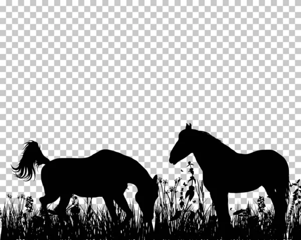 草の背景に馬のシルエット — ストックベクタ
