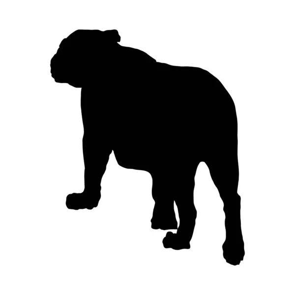 Silhouette de lion — Image vectorielle