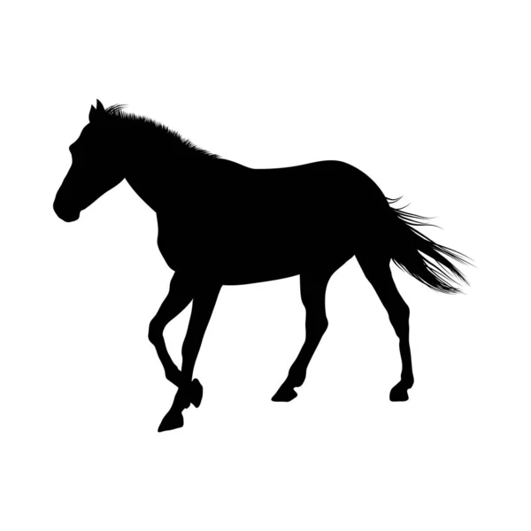 Hästsiluett — Stock vektor