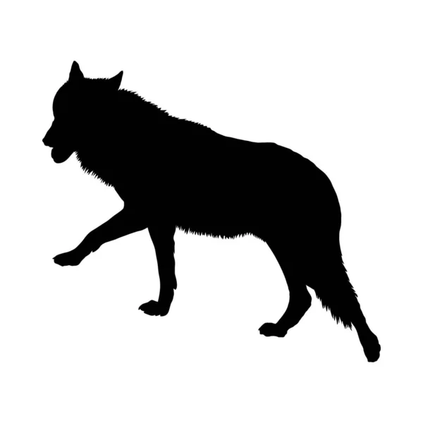 Вовк силует — стоковий вектор