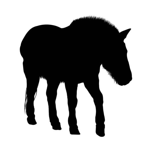 Silhouette de cheval — Image vectorielle