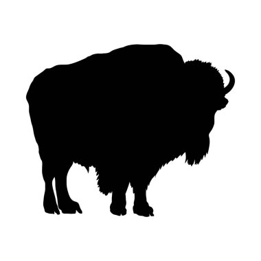 Yak Silueti