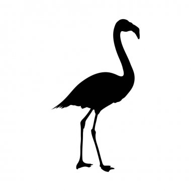 flamingo silueti