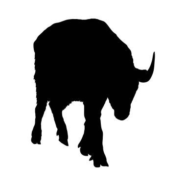 Bison Silhouette