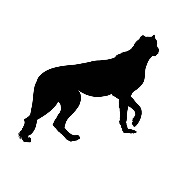 Silueta de leopardo — Vector de stock