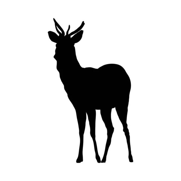 Deer Silhouette — Stock Vector