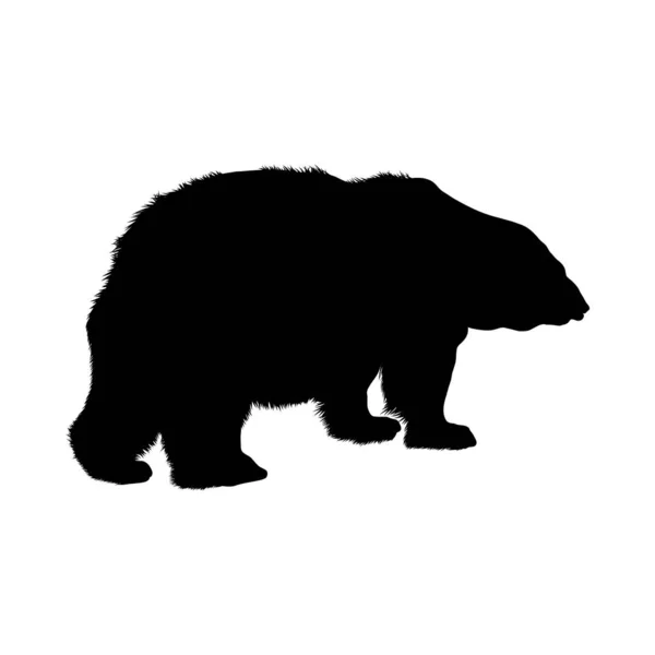 Silhueta de urso polar — Vetor de Stock