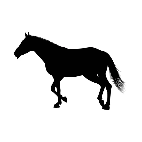 Hästsiluett — Stock vektor
