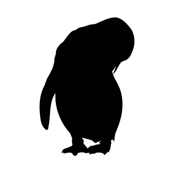 Pinguïn silhouet — Stockvector