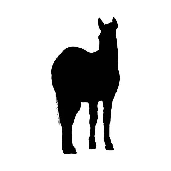 马的轮廓 — 图库矢量图片