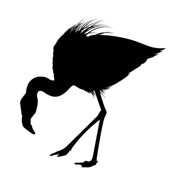 Flamingo Silhouette — Stock Vector