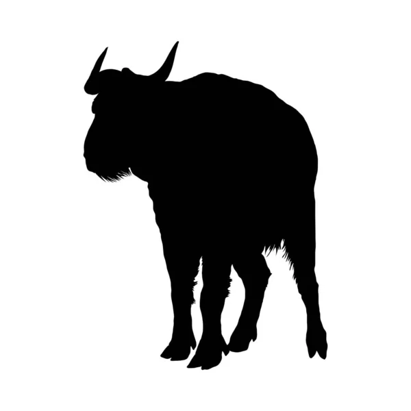 Silhueta de bisões — Vetor de Stock
