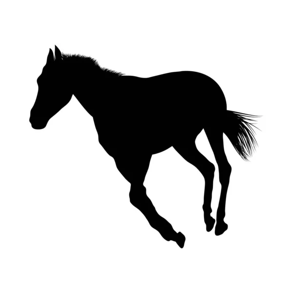 Silhouette cavallo — Vettoriale Stock