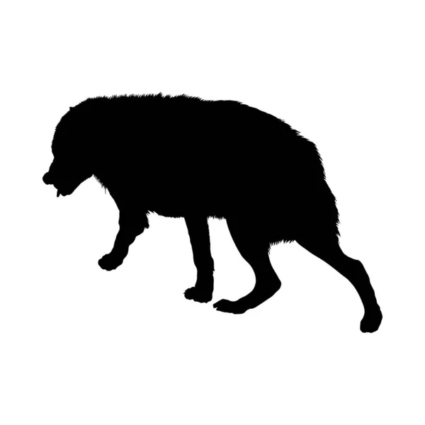 Вовк силует — стоковий вектор