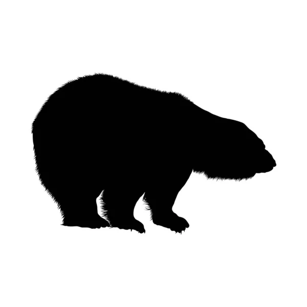 北极熊的剪影 — 图库矢量图片