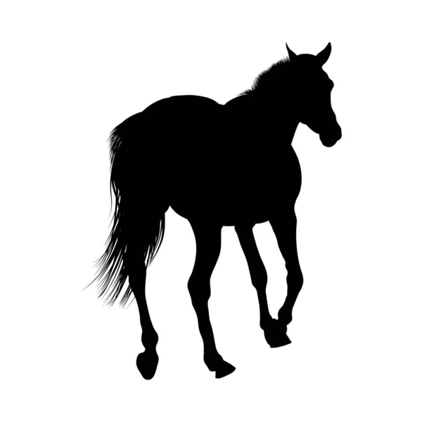 Silhouette de cheval — Image vectorielle