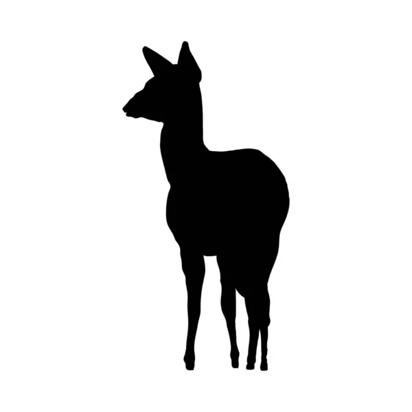 Silueta de ciervo — Archivo Imágenes Vectoriales