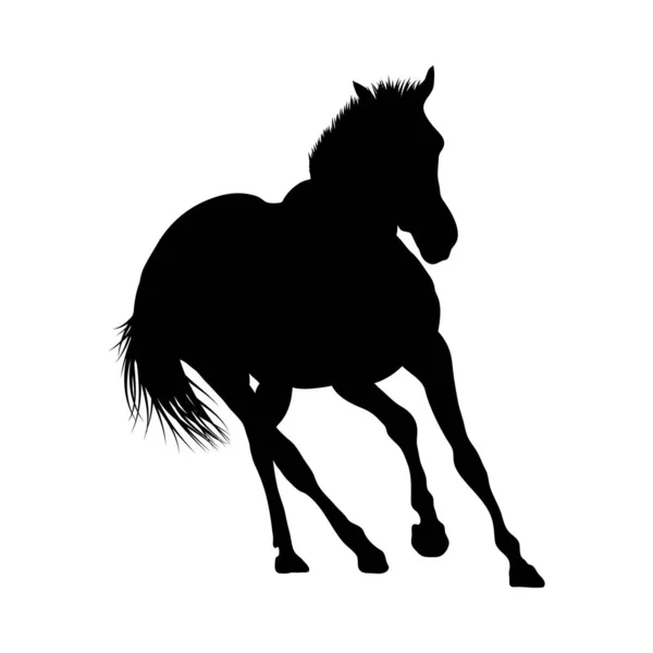 Silhouette cavallo — Vettoriale Stock