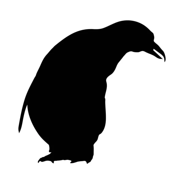 Pinguim Silhueta —  Vetores de Stock