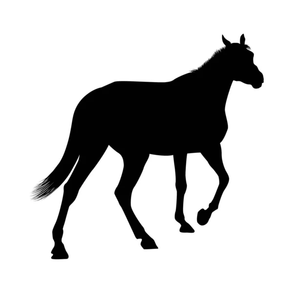 Silhouette de cheval — Image vectorielle