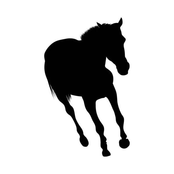 Ló sziluett — Stock Vector