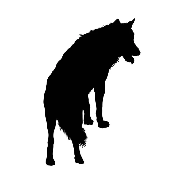 Wolfssilhouette — Stockvektor