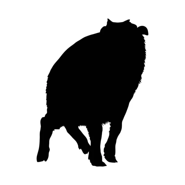 Silhouette del bisonte — Vettoriale Stock