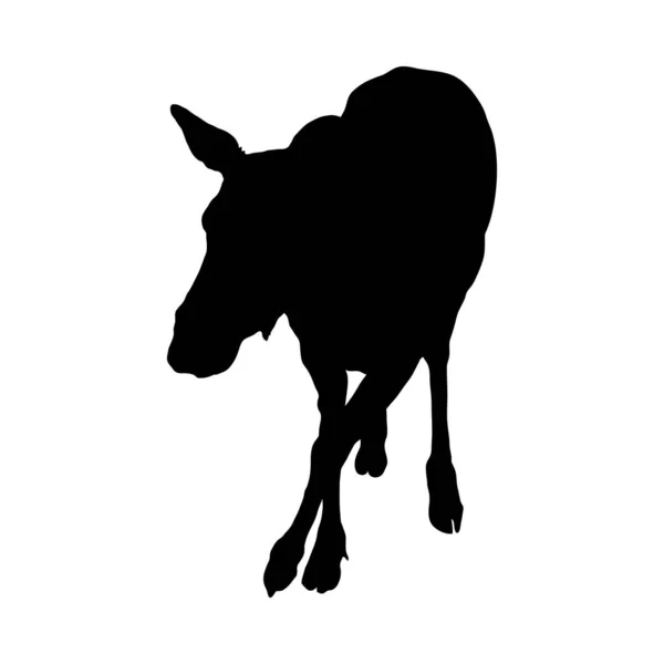 Silueta de burro — Vector de stock