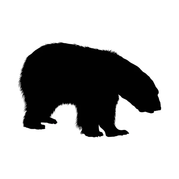 Icono De Oso Polarストックベクター ロイヤリティフリーicono De Oso Polarイラスト ページ 46 Depositphotos