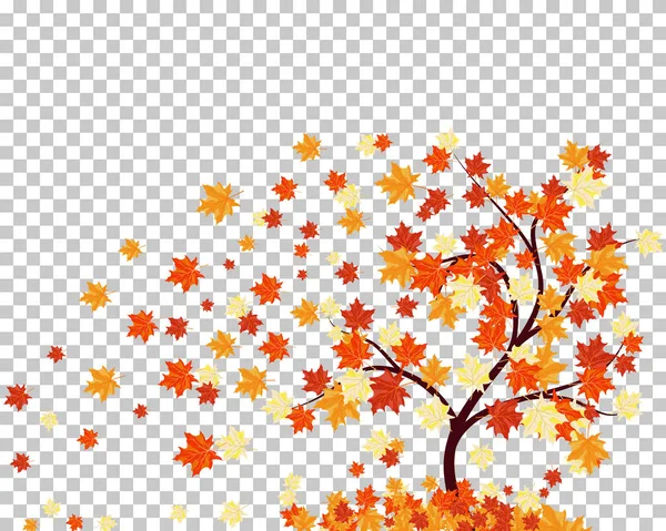 Falling maple leaves — Stock Vector