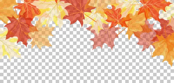 Falling maple leaves — Stock Vector