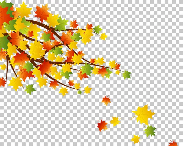 Falling maple leaves — Stock Vector