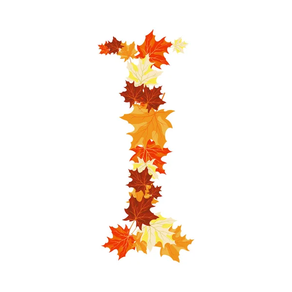 Maples Outono deixa carta — Vetor de Stock