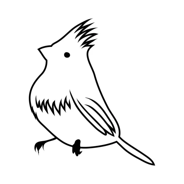 Sketch of Bird — Stock Vector