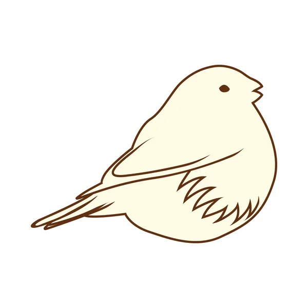 Náčrt pták — Stockový vektor