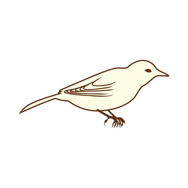 Croquis d'oiseau — Image vectorielle