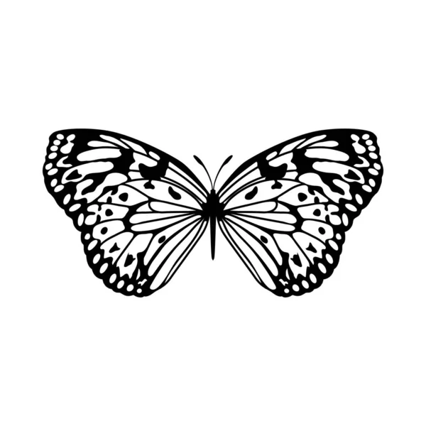 Boceto de mariposa — Archivo Imágenes Vectoriales