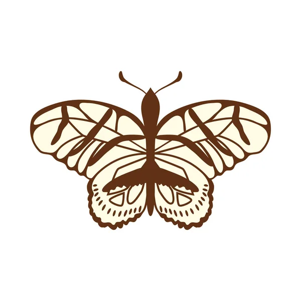 Schets van de vlinder — Stockvector