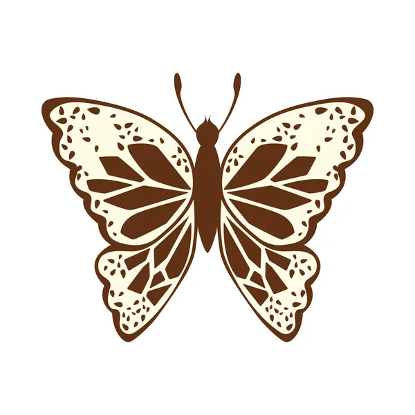 Kelebek Krokisi — Stok Vektör