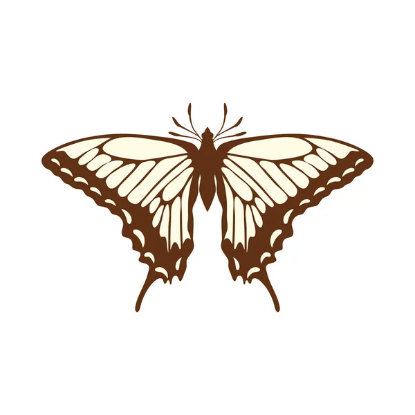 Kelebek Krokisi — Stok Vektör