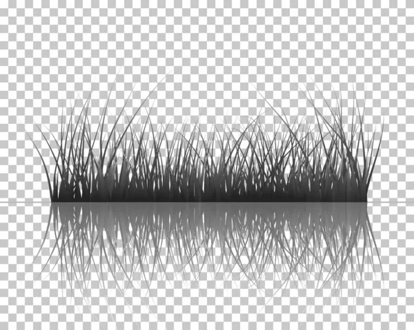 Herbe sur l'eau — Image vectorielle